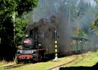 2021.09.25 JHMD U46.101 Jindřichův Hradec - Nová Bystřice (23)